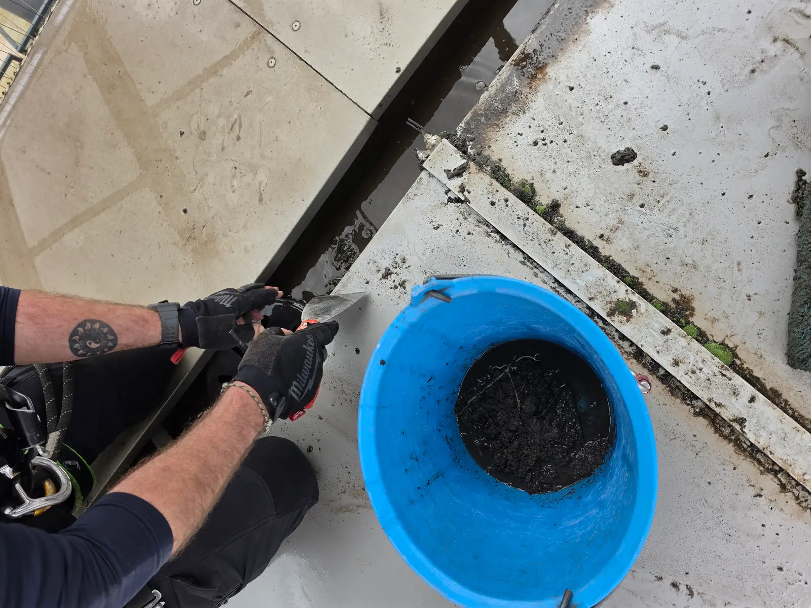 Nettoyage de la Verriere du Polygone de Beziers - Photo 1